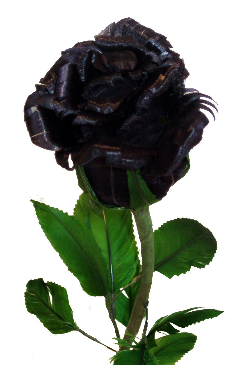 Single Black Rose Tumblr Single Black Rose Tumblr
