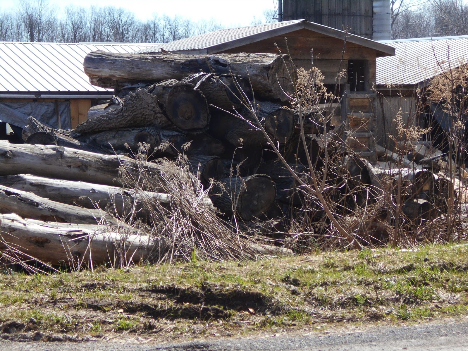 New York State of Mind OLD ORDER MENNONITE SAW MILL