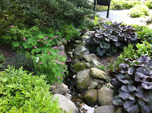 hingham gardens shade garden