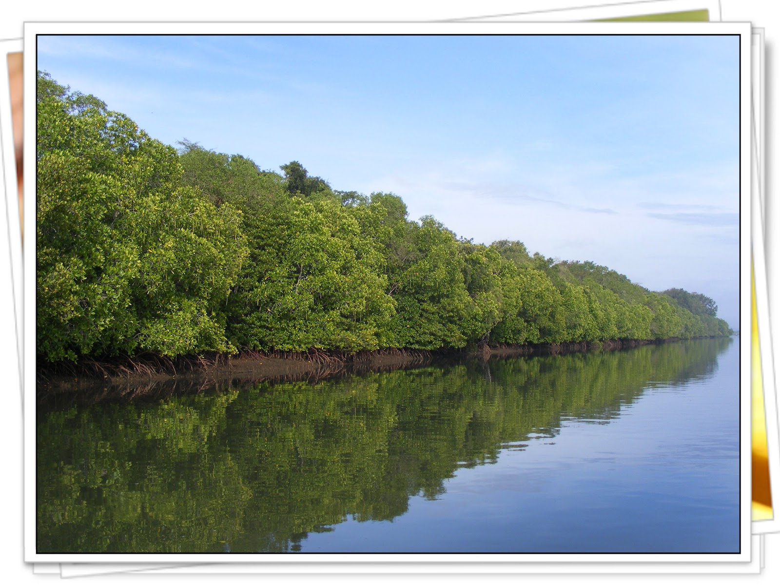 love banyuwangi: Pantai Bedul