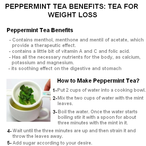 peppermint for weight loss Get Yourself in Mint Condition