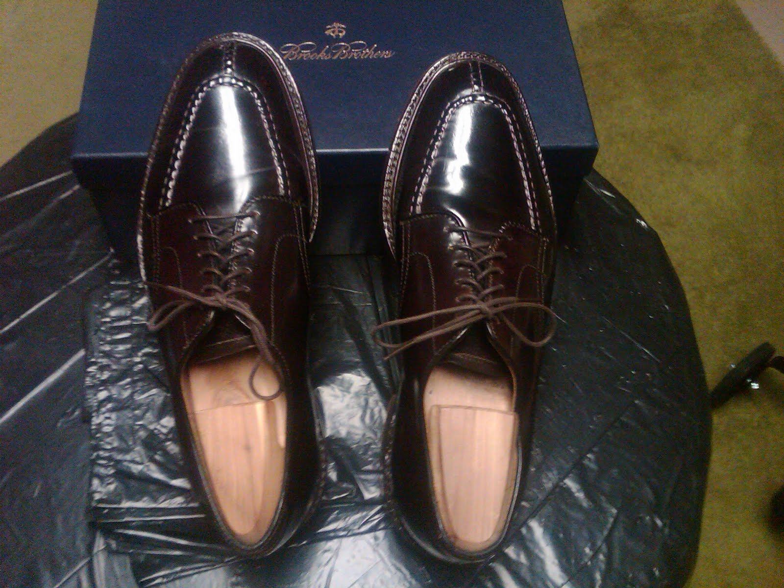 alden nst blucher