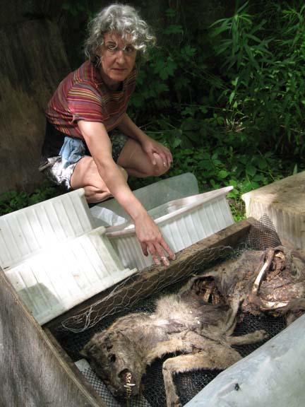 SUSAN COOLEN / BONEYARD