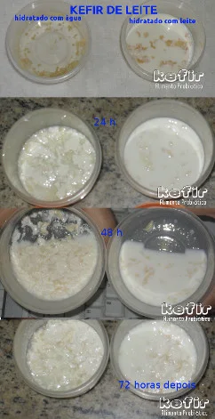 Kefir Alimento Probiótico