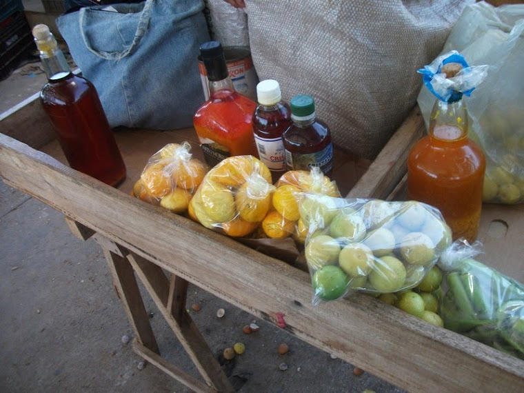 na feira de cocos tem oleo de pequi, mel de abelhas, pimentas