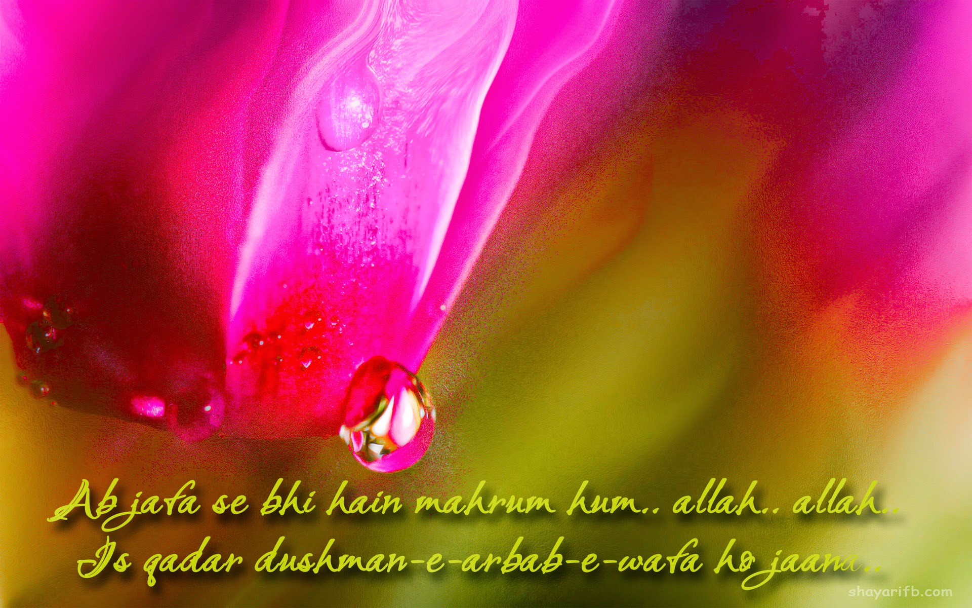 Love Wallpapers Love Shayari Best Shayari On Dil Ka Dard Hindi