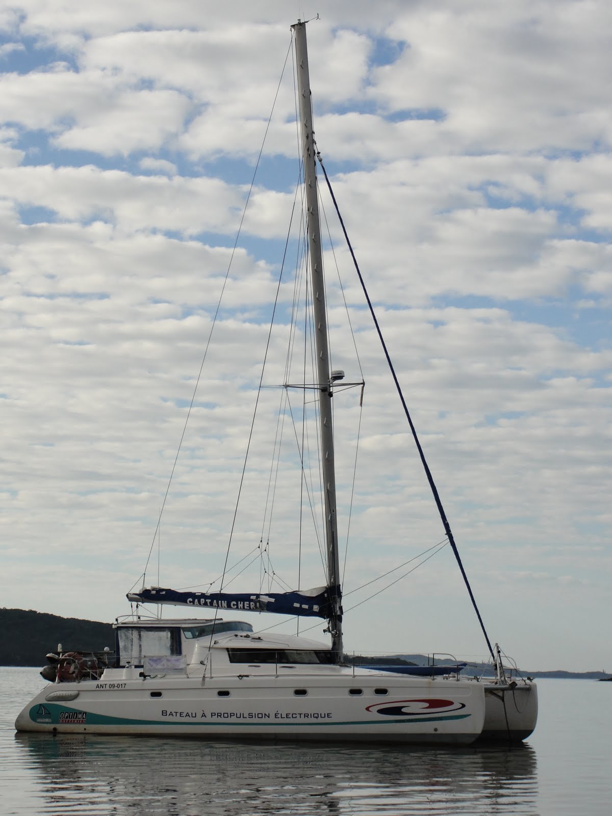 nouvelles vagues rencontre avec les dauphins