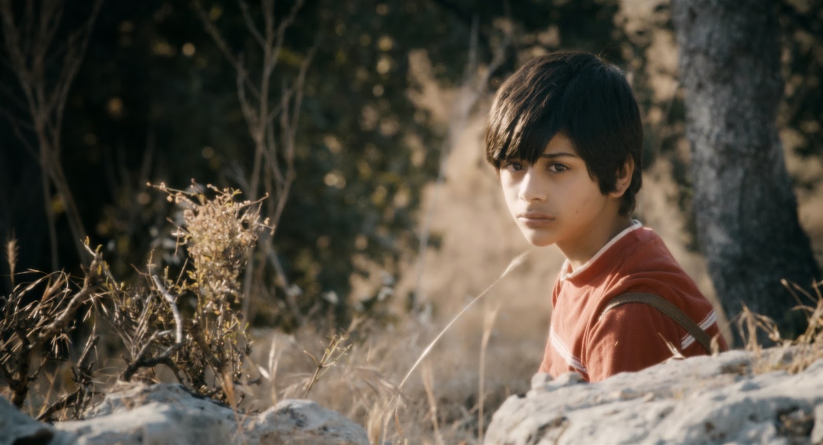 النجم الهوليوودي هيو جاكمان لـ القدس العربي أعظم استعراضي أكثر الأفلام الموسيقية دخلا في التاريخ القدس العربي