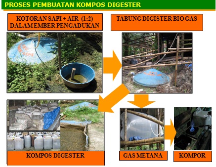 Cara Membuat Biogas Kotoran Sapi