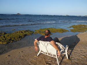 WING SPAN  IN RATTAN SOFA, MOSS AND OCEAN