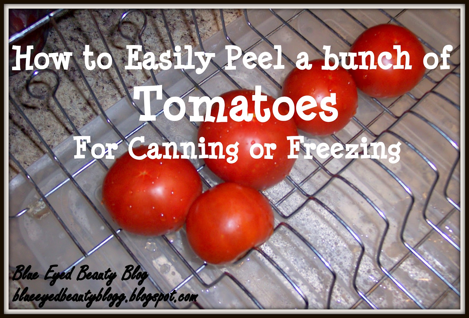 Blue Eyed Beauty Blog Peeling Tomatoes for Canning or Freezing
