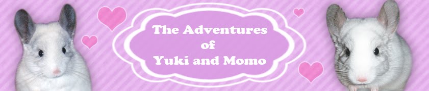 The Adventures of Yuki and Momo