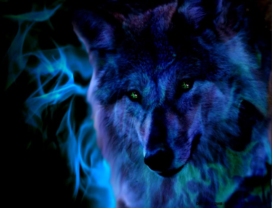 Fire Wolf 3D Abstract Animal Wallpapers Wallpapers 2014 Fire Wolf 3D Abstract Animal Wallpapers Wallpapers 2014