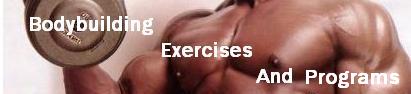 Bodybuilding Exercises And Programs