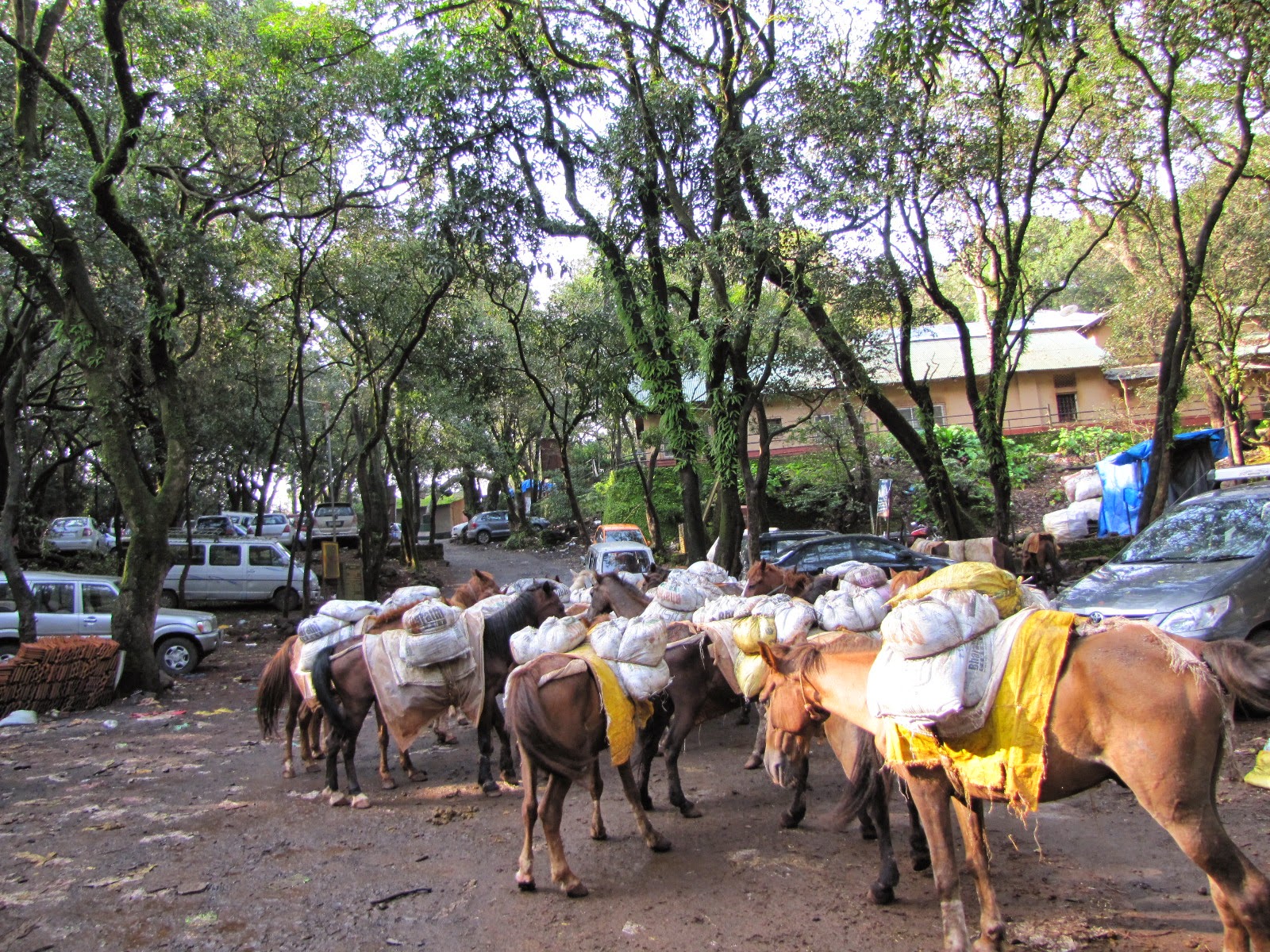 Karthik's Wander Mindblowing Matheran