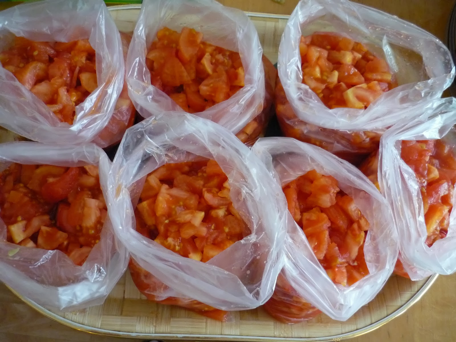 portakal ağacı kış hazırlıkları