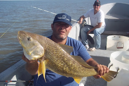 corvinas en bahia san blas 5/3/2011