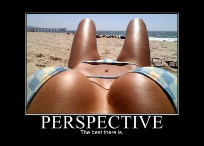 Perspective Quotes