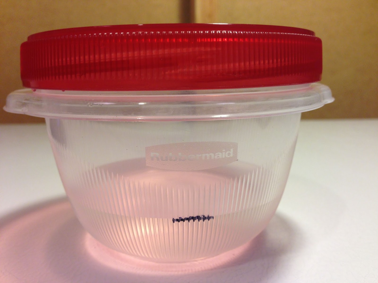 Step by Step Rehydrating Dried Yeast Using Rubbermaid TakeAlong