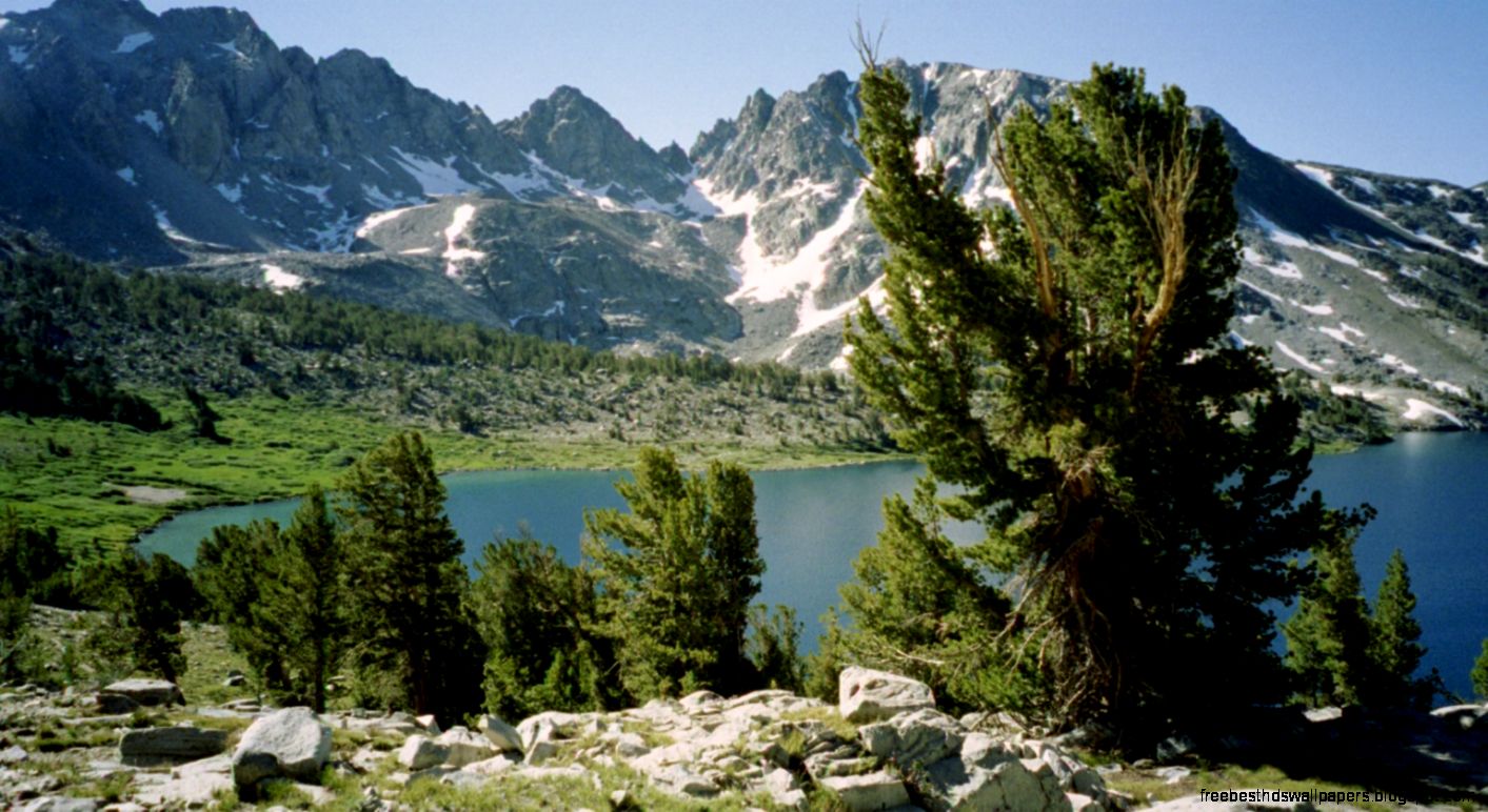 The White Mountains The White Mountains