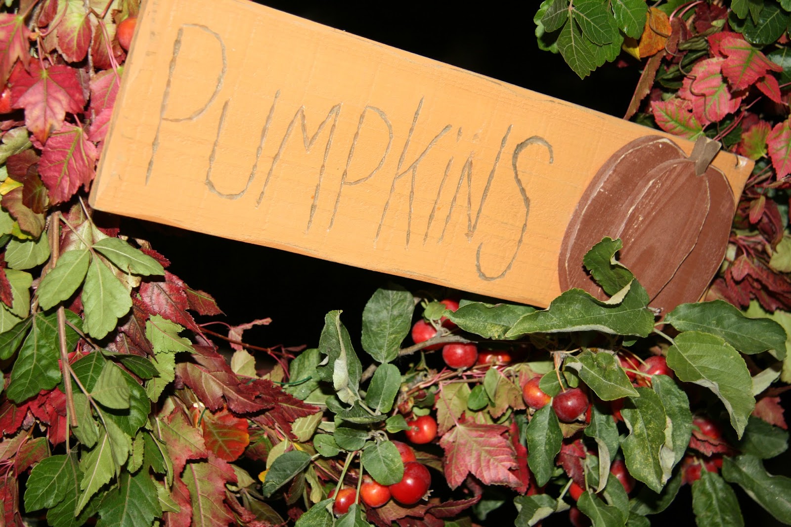 Decorated Mantel Natural Splendor Make Your Own Living Wreath