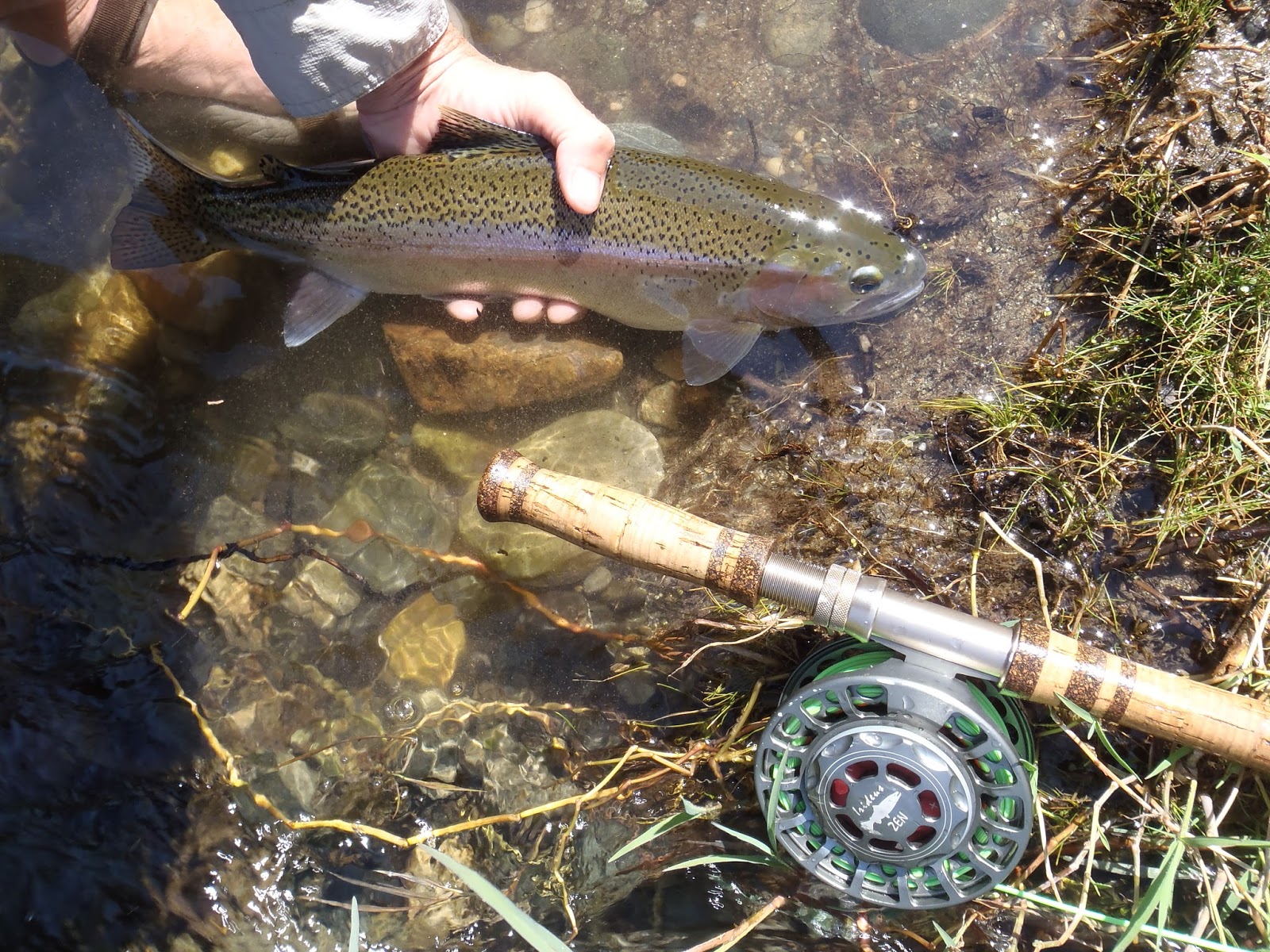 Irideus Fly Fishing Products California steelhead season is off a great start with the Irideus