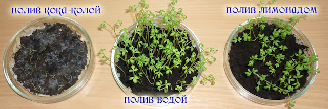 Стих расула гамзатова о любви Стих расула гамзатова о любви