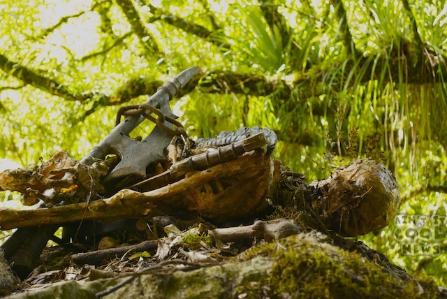 Rohirrim Sword