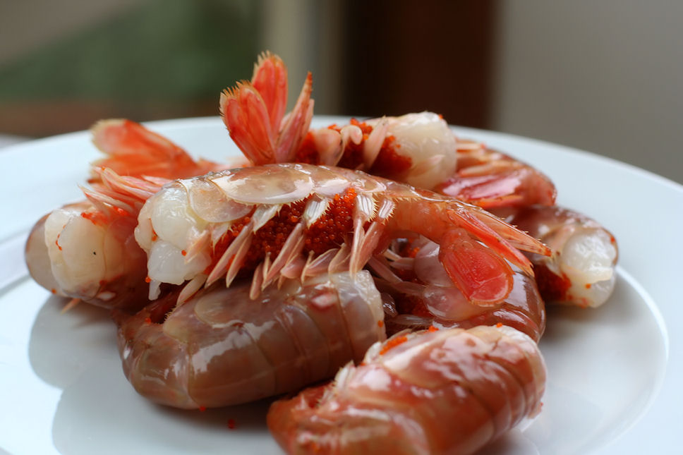 the fifth flavor spot prawns and their roe