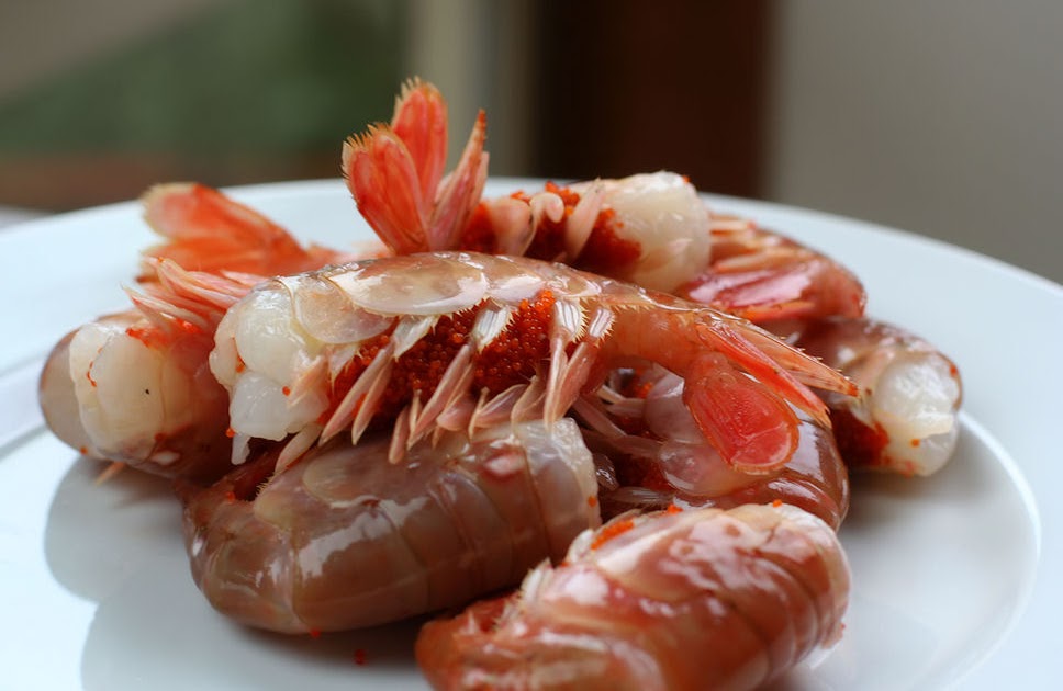 the fifth flavor spot prawns and their roe