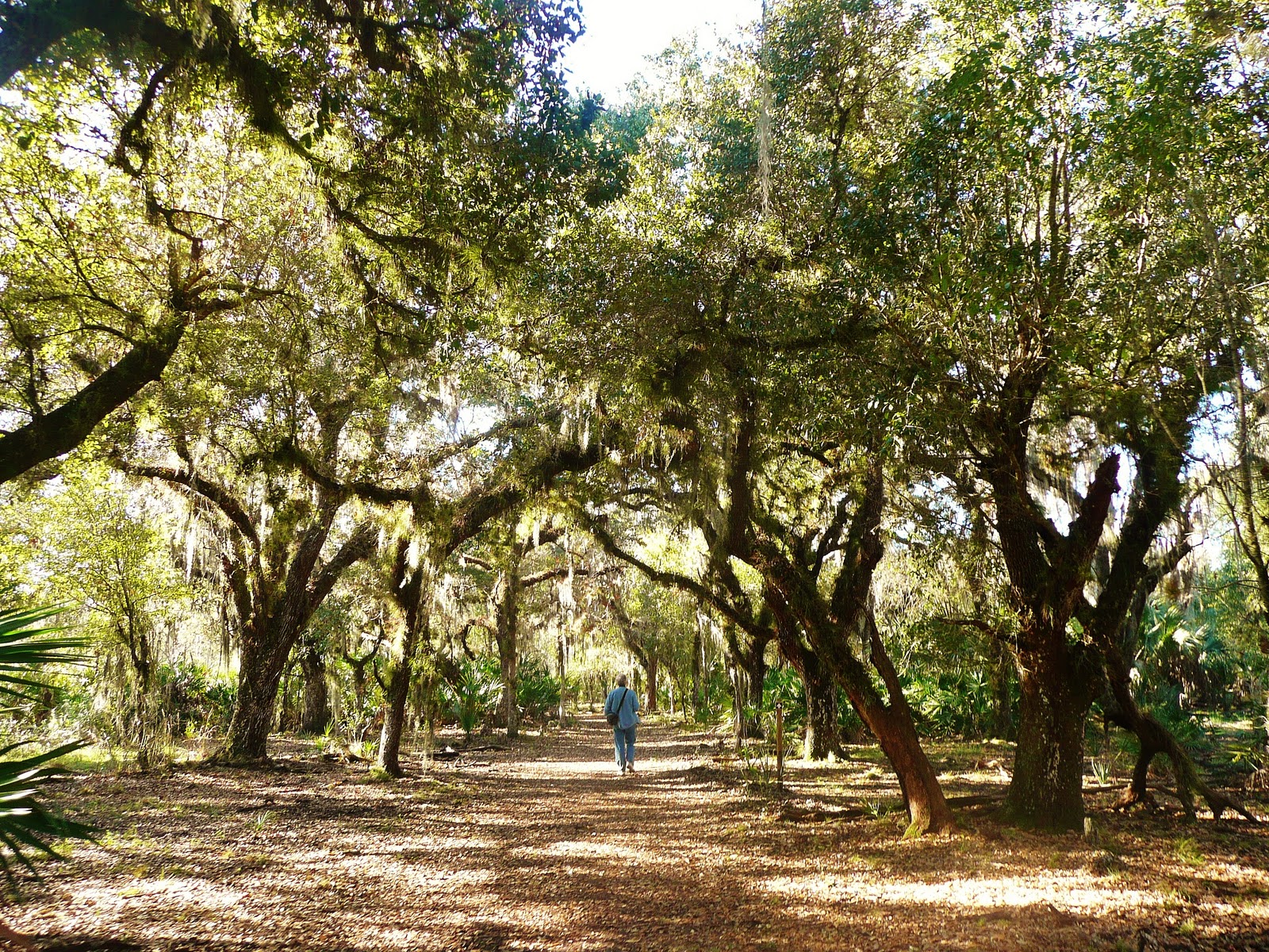 Polk County Florida Parks and Trails Sneak Peek Trek Ten Trails North