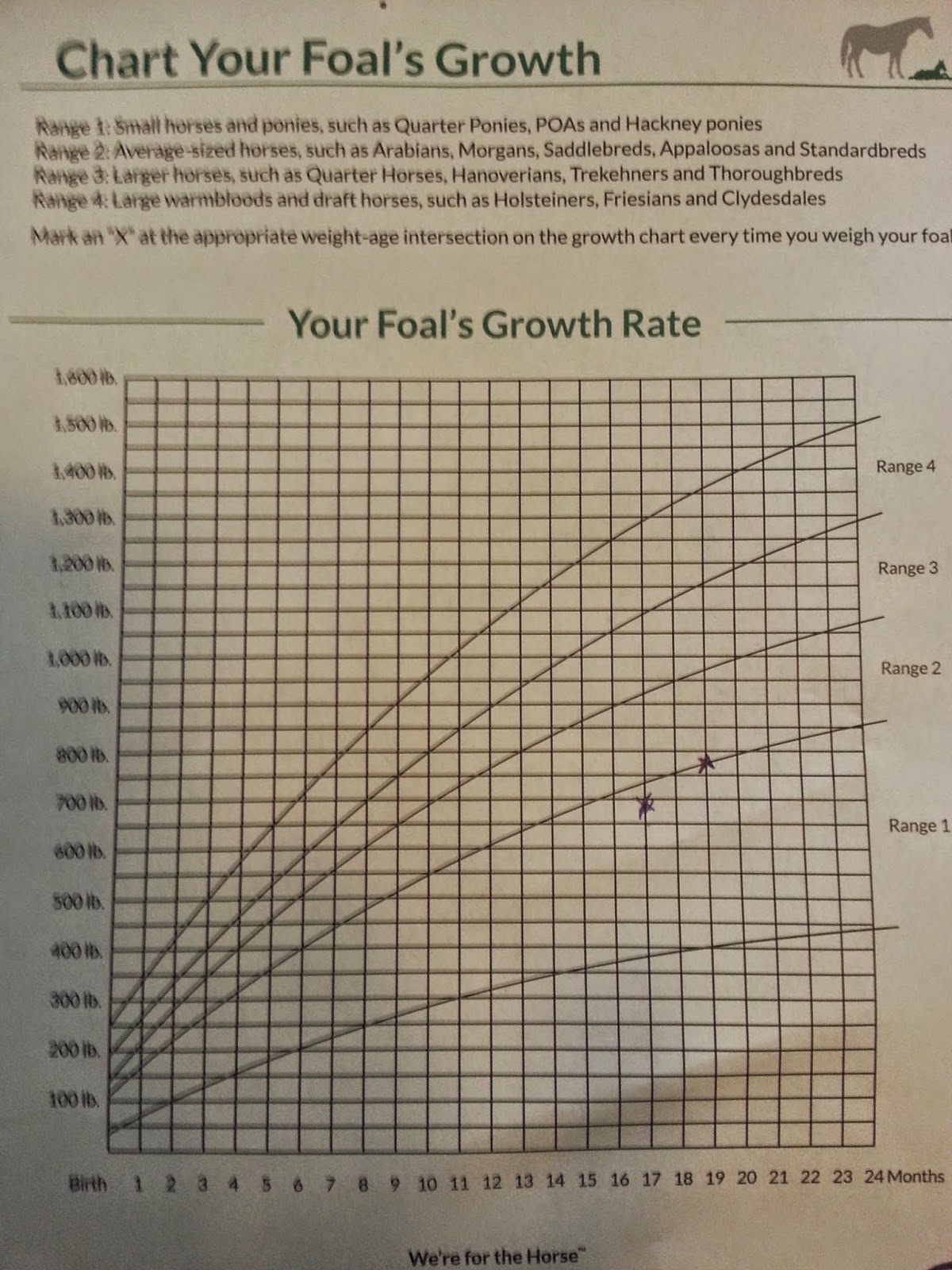 Warmblood Growth Charts