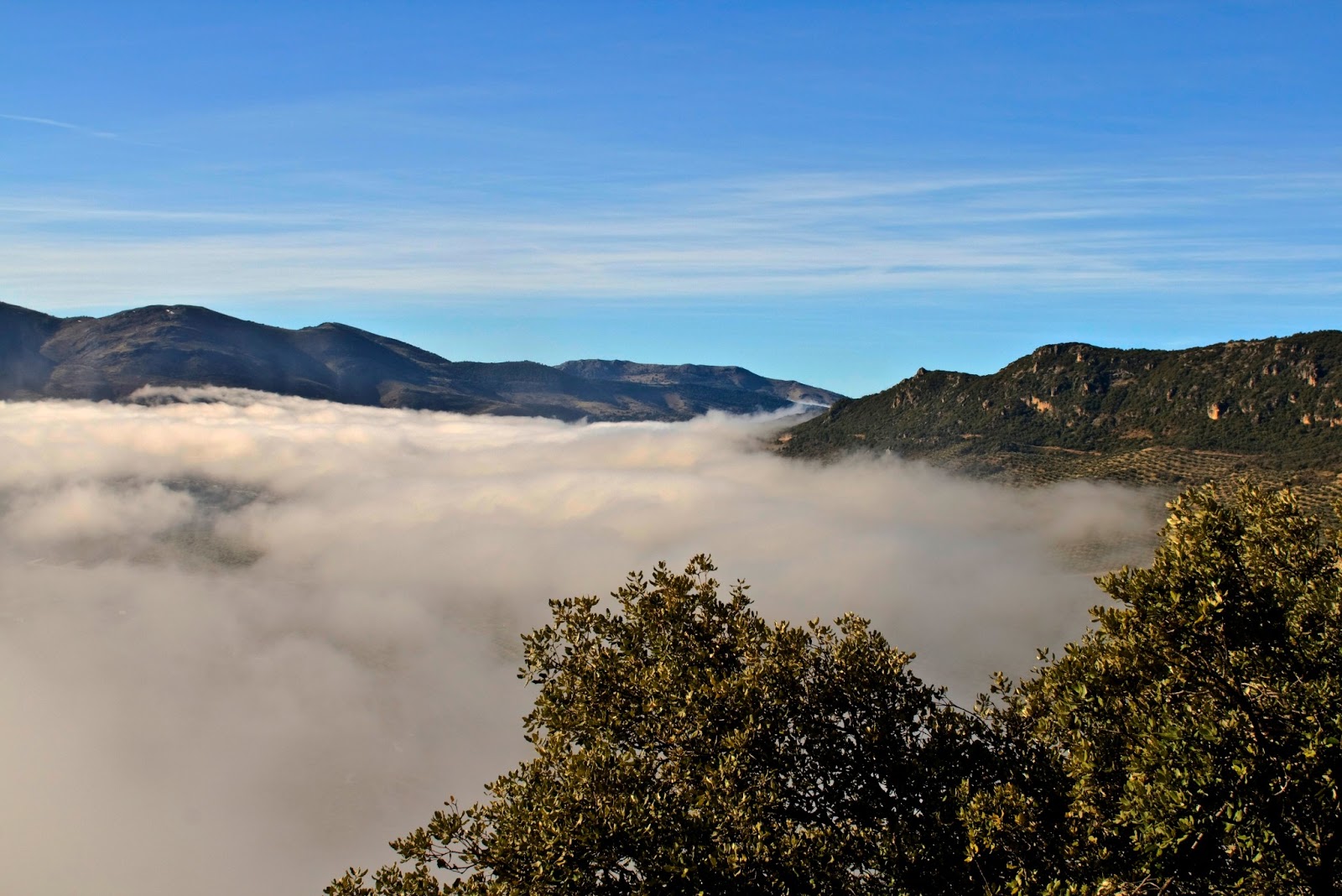 El mundoblog de Miguel Caballero La Sierra de la Pandera. Sierra Sur