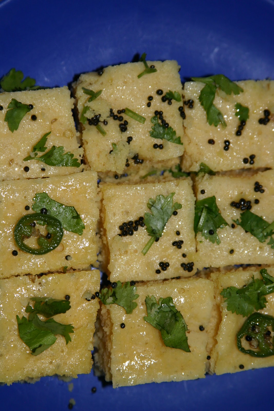 wavafood Nylon Khaman Dhokla