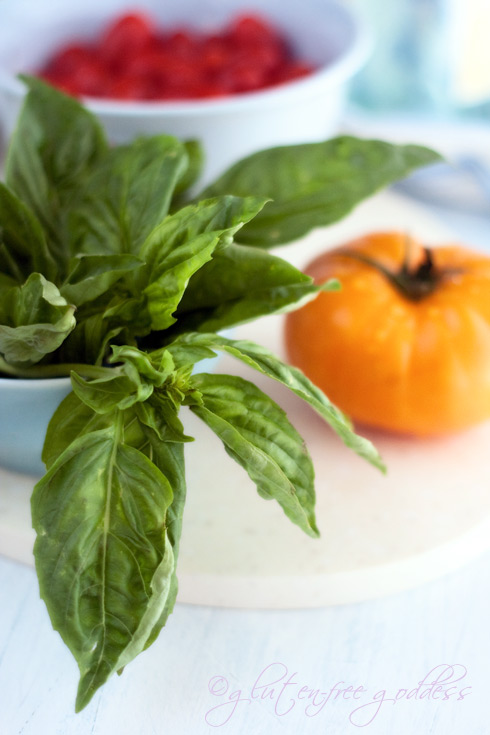 Garden fresh basil and tomatoes Garden fresh basil and tomatoes