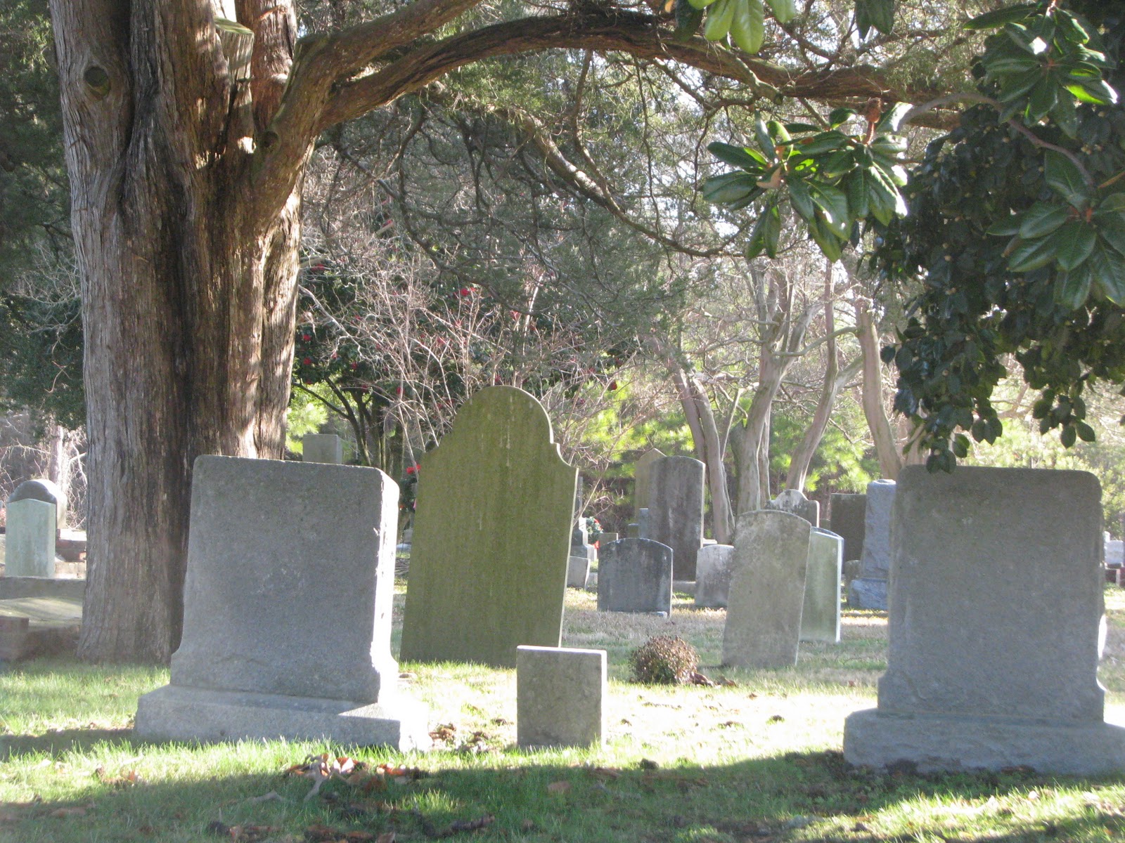 Life in Mathews Pear Tree Cemetery