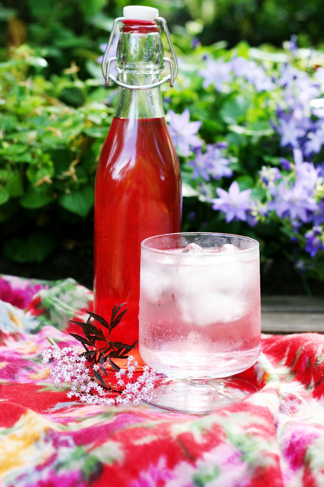 Bell and Star Pink Elderflower Cordial + Pink Fizz Elderflower Cocktail