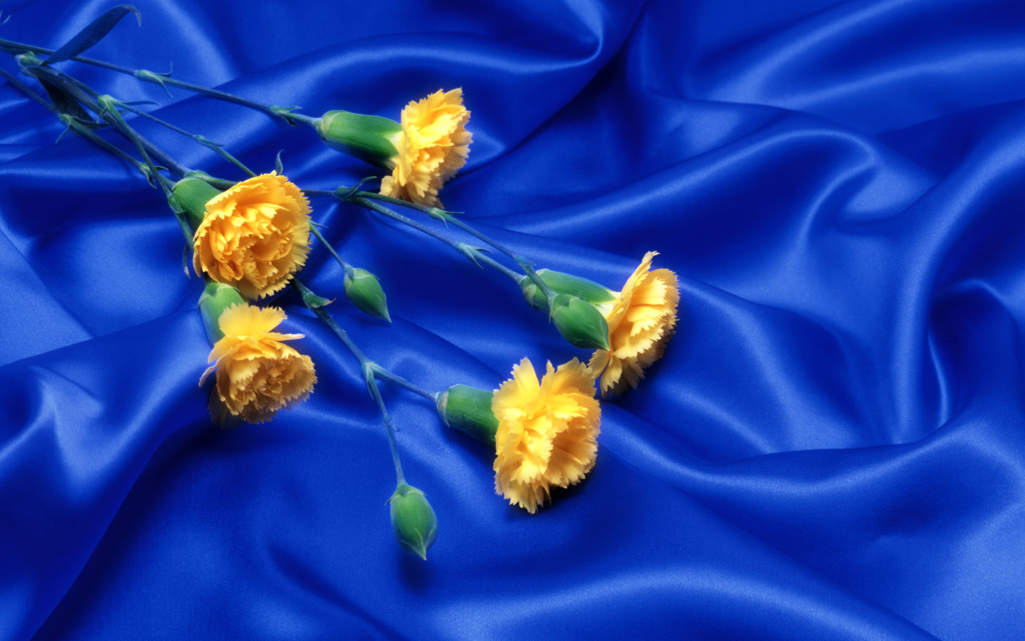 WnP Wallpapers & Pictures Blue with yellow flower wallpaper
