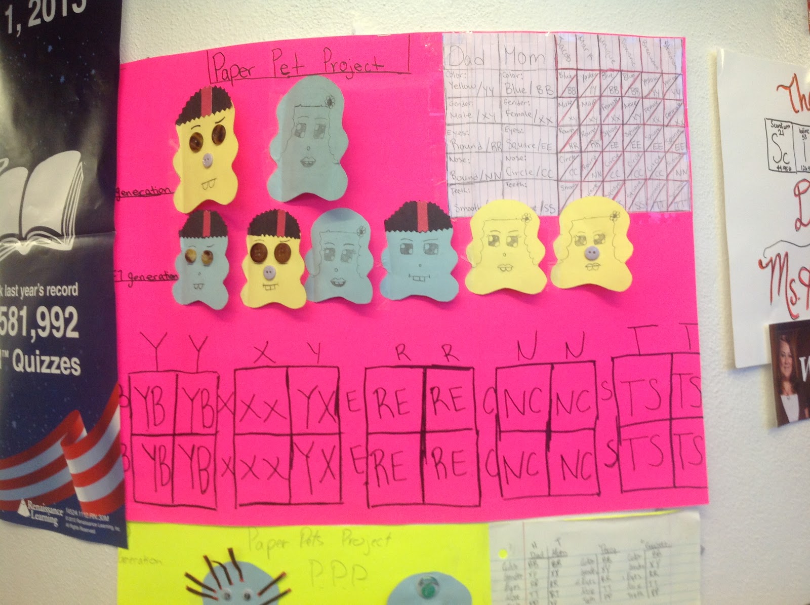 Ms. Herman's Amazing Science Classroom! Paper Pet Project