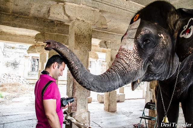 blessings by holy elephant of temple
