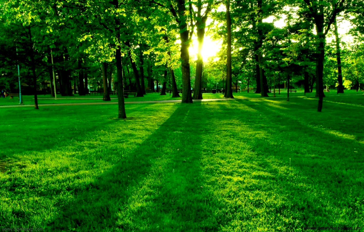 Nature Wallpapers Dr Odd Nature Wallpapers Dr Odd