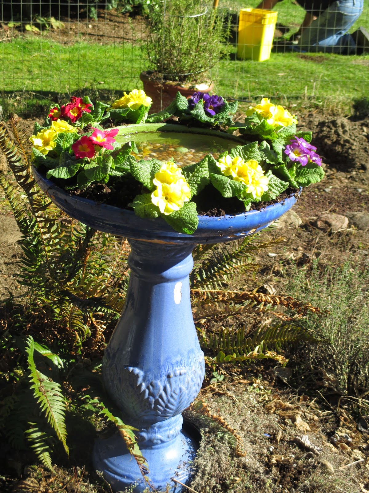 From Cedar Pond to Laughing Dove Farm Bird Bath Planter