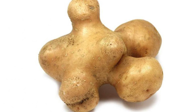 Papas La Bonnotte
