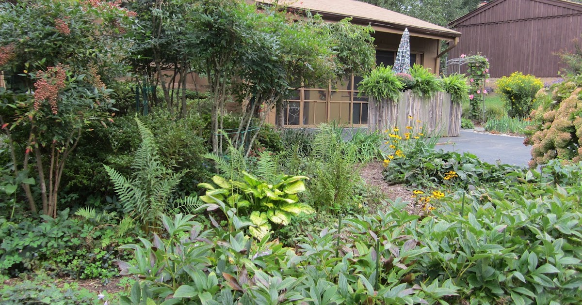 the Annandale Blog Great gardens No more lawn at this Annandale home