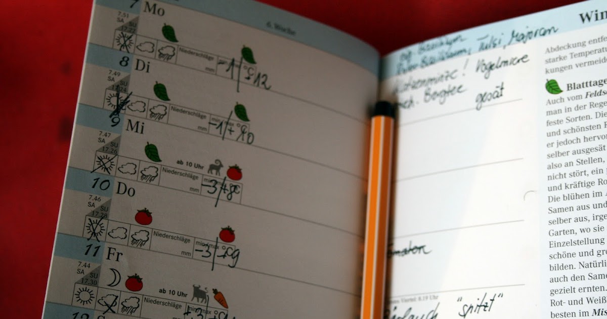 die über-lebens-künstlerin: Das Gartentagebuch - führt Ihr eines? ich