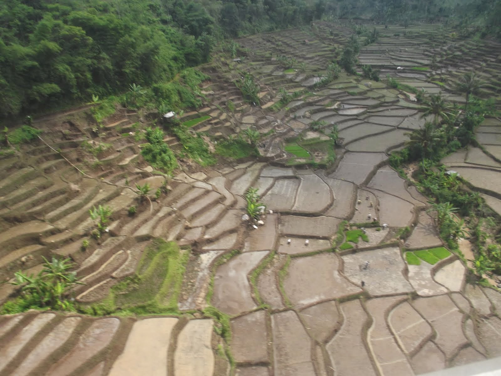 Pemandangan Alam Purwakarta, Jawa Barat, Indonesia