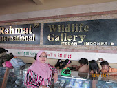 medan, indonesia (jan 2011)