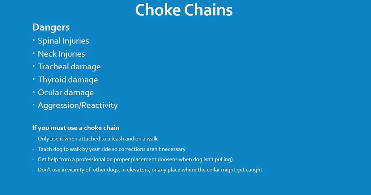 Pet Education Dangers of Choke Chains