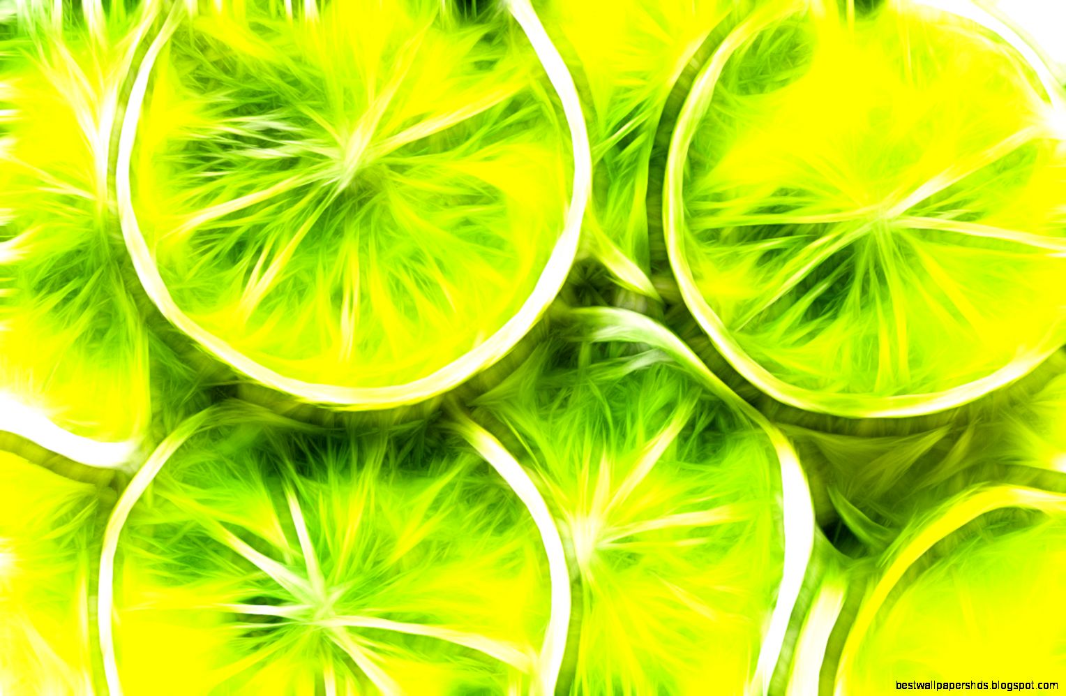 Lime Wallpaper by Laura Colliton on FL Food and Drink HDQ Lime Wallpaper by Laura Colliton on FL Food and Drink HDQ