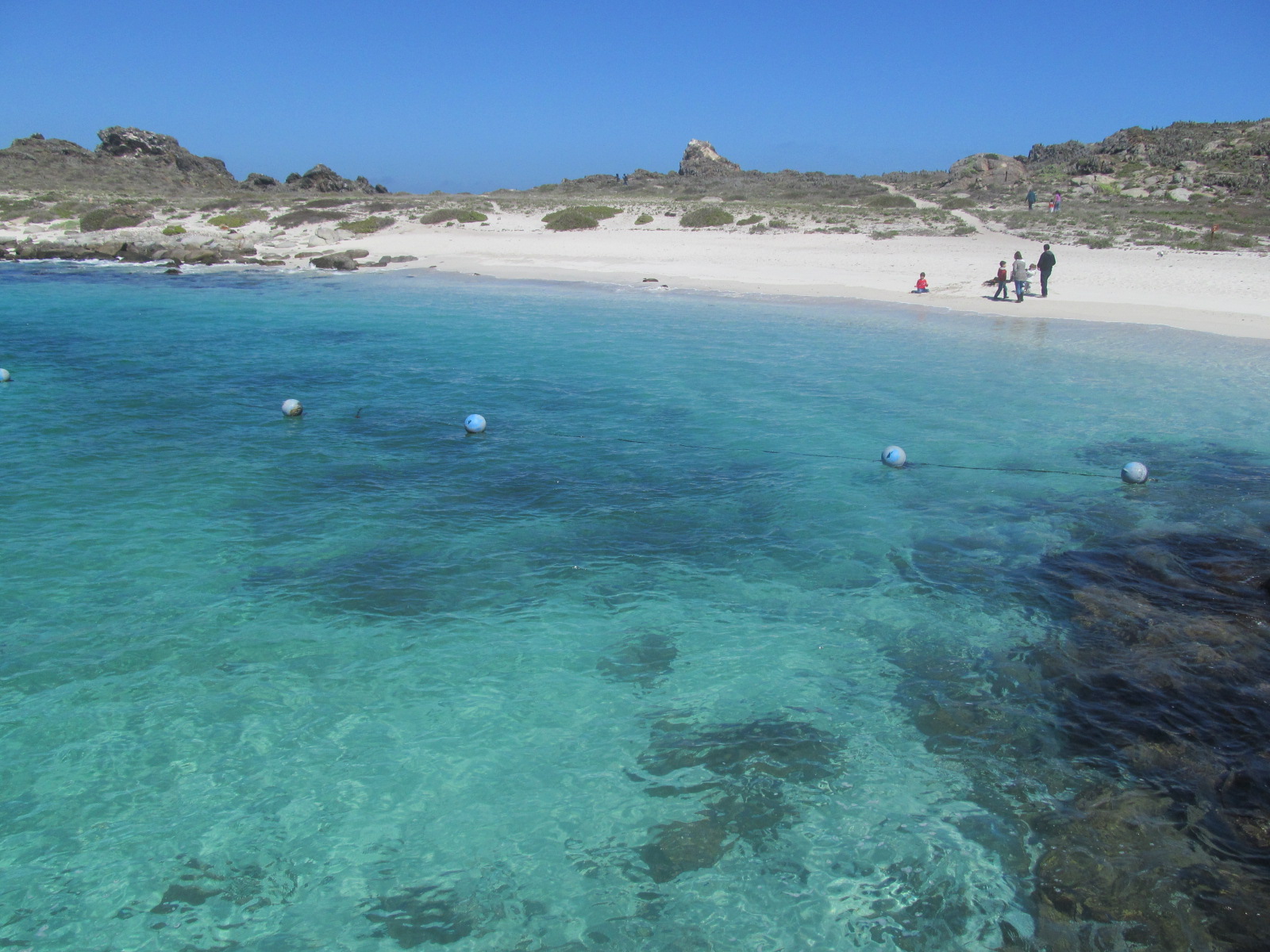 Isla Damas